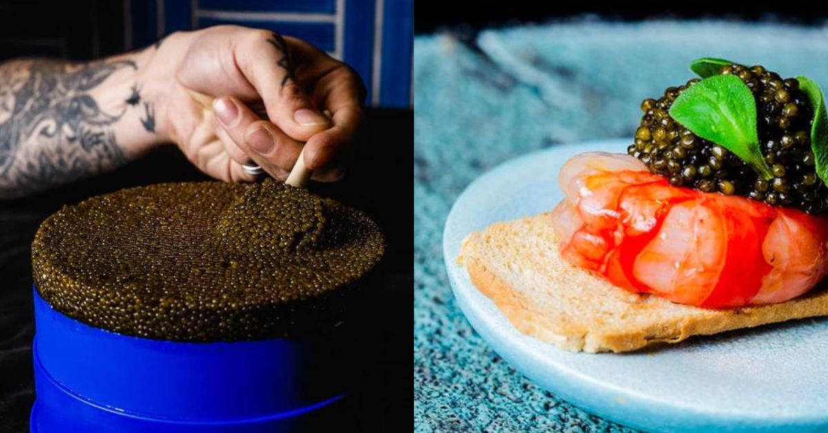 Sami Top Caviar